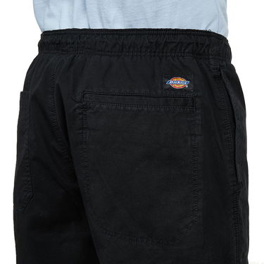 Shorts Dickies Pelican Rapids Shorts Sort | DK0A4XB2BLK1, 3