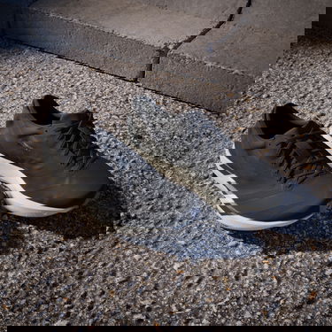 Sneakers og sko adidas Performance ADIZERO ADIOS 9 Sort | ih5751, 7