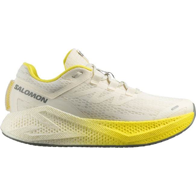 Sneakers og sko Salomon Aero Glide 3 Flerfarvet | L47975900