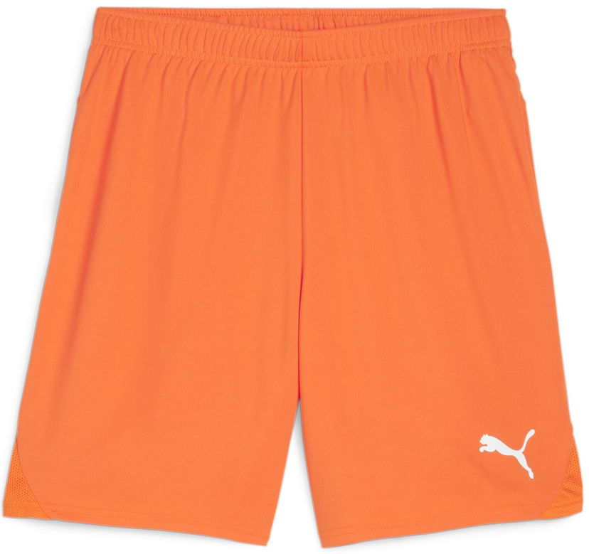 Shorts Puma teamGOAL Shorts Orange | 705752-08