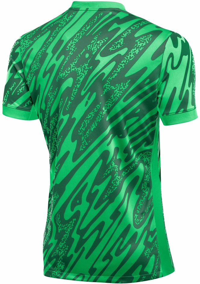 Jersey Nike Nike Gardien V GK Soccer Jersey Grøn | fd7482-329, 1