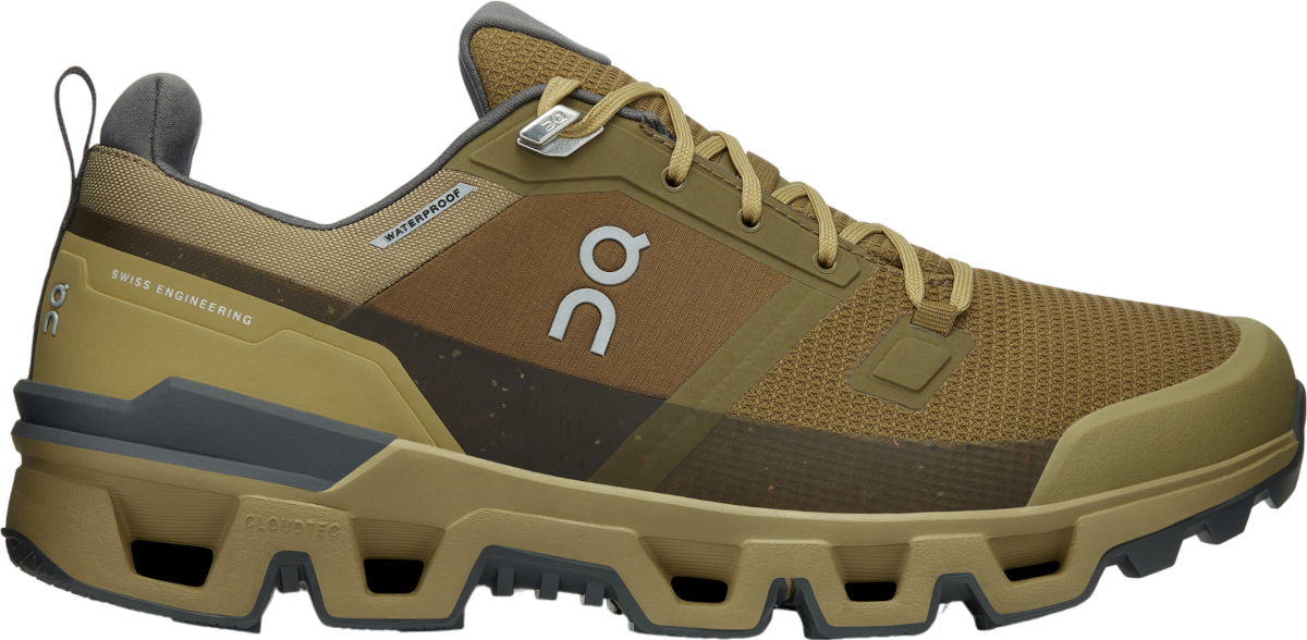 Sneakers og sko On Running Cloudwander Waterproof Brun | 73-97822, 0