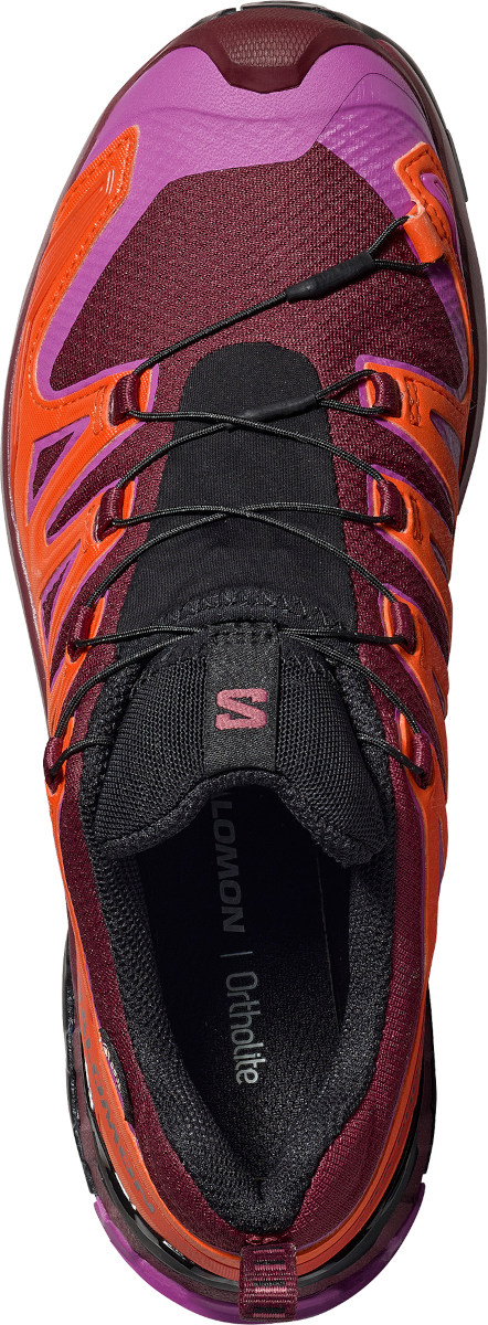 Sneakers og sko Salomon Salomon XA PRO 3D V9 GTX Lilla | l47961900, 1