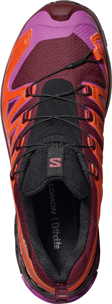 Sneakers og sko Salomon Salomon XA PRO 3D V9 GTX Lilla | l47961900, 1