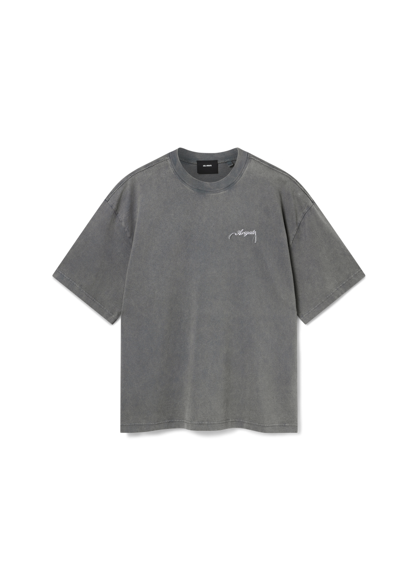 T-shirt AXEL ARIGATO Honor Washed T-Shirt Grå | A2681008