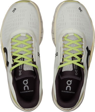 Sneakers og sko On Running Cloudmonster 2 Grå | 3we10112260, 4