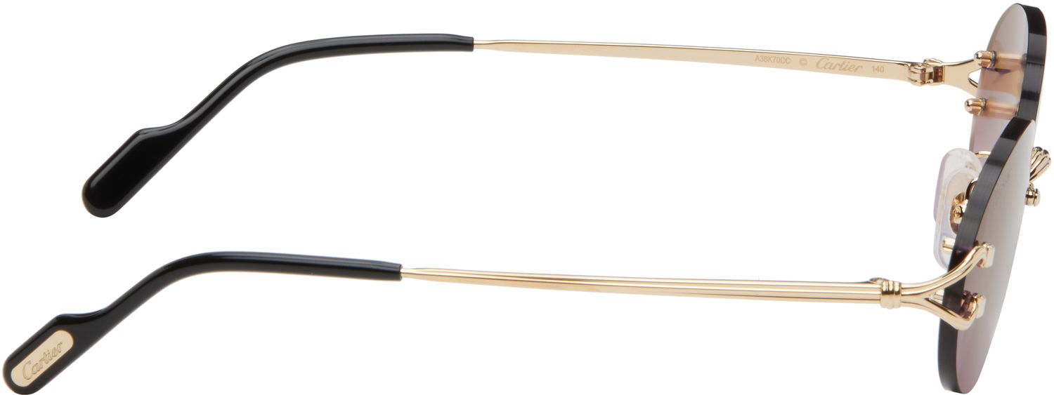 Solbriller Cartier Cartier 'Signature C de Cartier' Sunglasses Lilla | CT0551S-004, 1