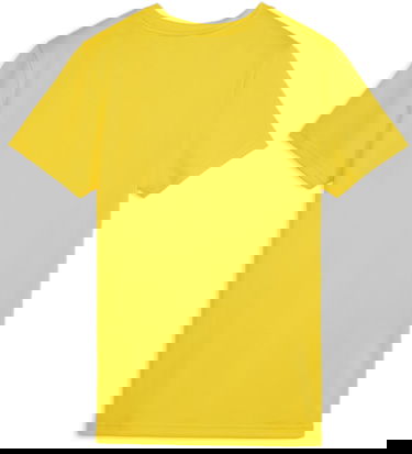 Jersey Puma teamGOAL Jersey Gul | 658638-07, 1