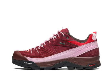 Sneakers og sko Salomon X-Alpages GTX The Broken Arm Bourgogne | L47346100, 1