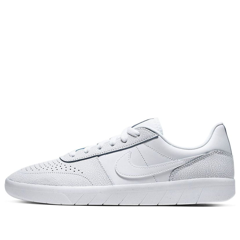 Sneakers og sko Nike SB SB Team Classic Premium Hvid | AR0767-100