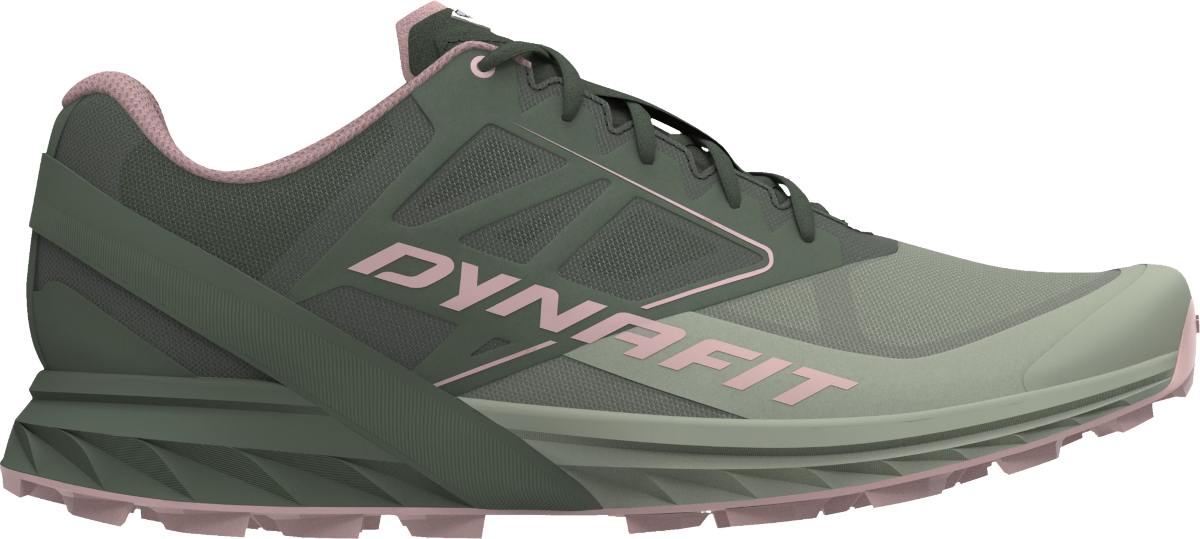 Sneakers og sko Dynafit ALPINE W Grøn | 08-0000064065-5654, 0