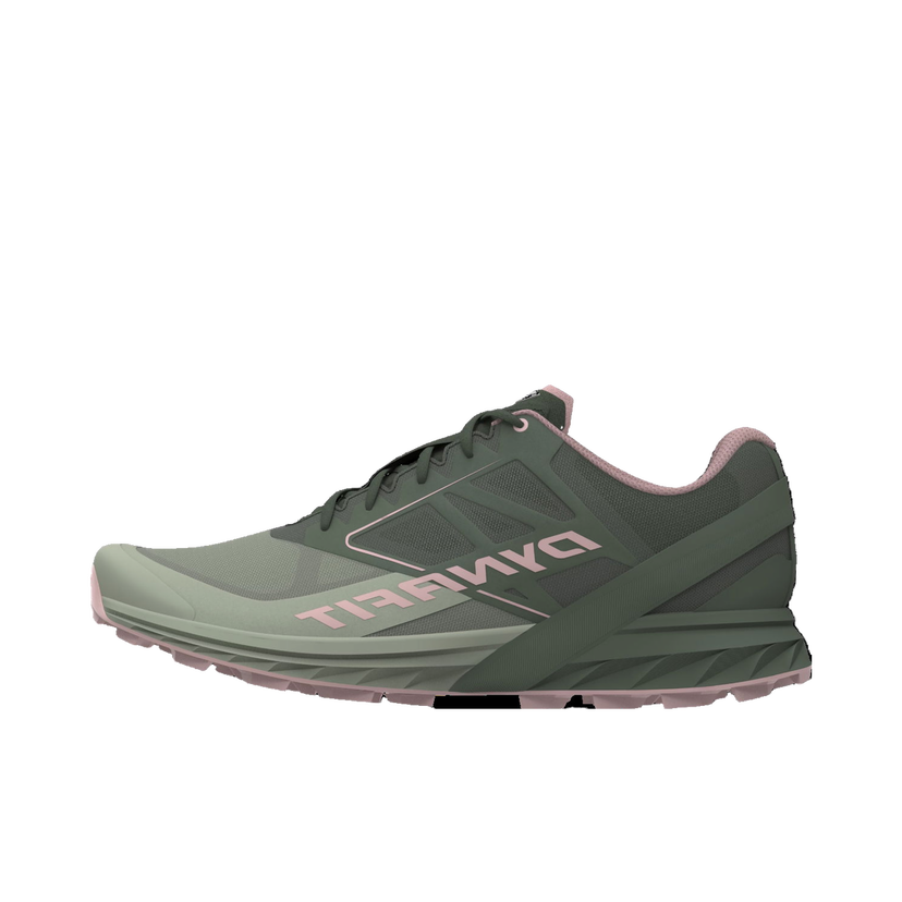 Sneakers og sko Dynafit ALPINE W Grøn | 08-0000064065-5654