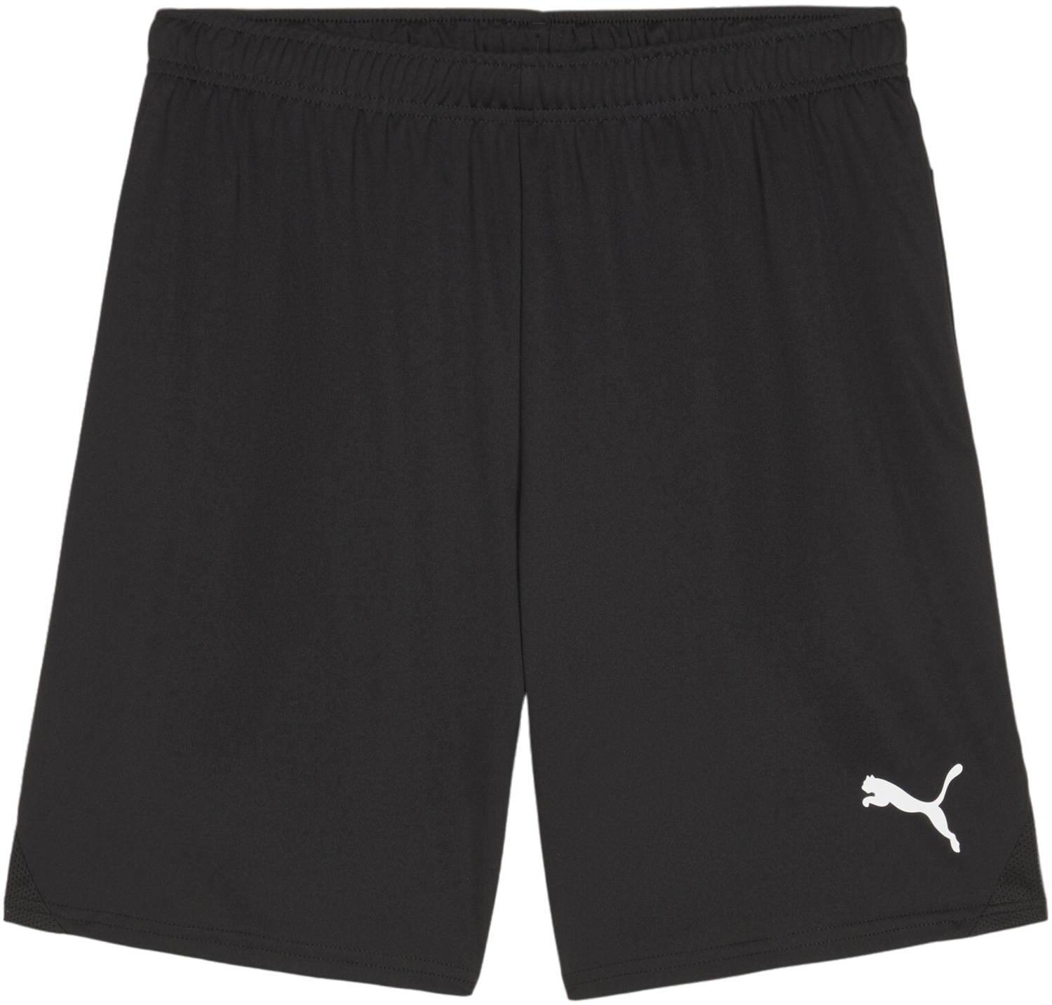 Shorts Puma teamGOAL Shorts Sort | 705752-03, 0