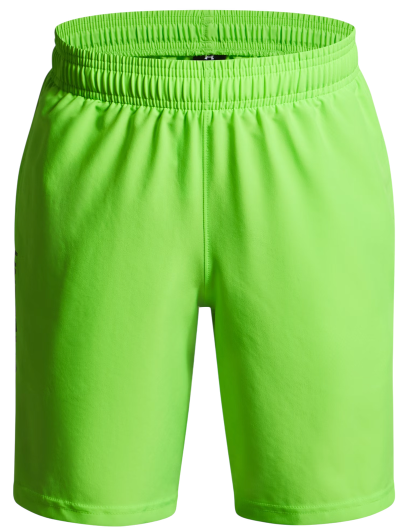 Shorts Under Armour Tech Woven Wordmark Short Grøn | 1383341-389