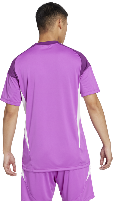 Jersey adidas Originals T25 C Goalkeeper Jersey Lilla | ji9719, 7