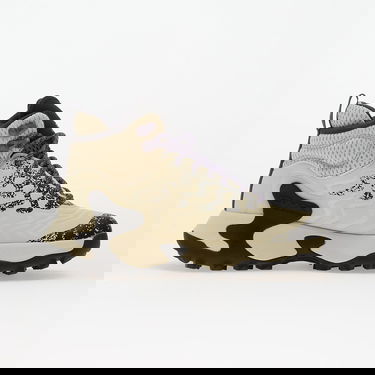 Sneakers og sko Reebok KITARI DMX Beige | 100227012, 2