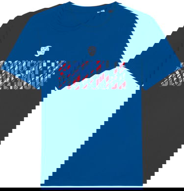 T-shirt Nike NZSx11TS SLOVENIJA shirt men blue Mørkeblå | nzsnzs800-463, 0
