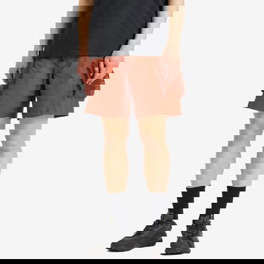 Shorts Nike ACG Snowgrass Cargo Shorts, Size Large Brun | DV9405-245, 2