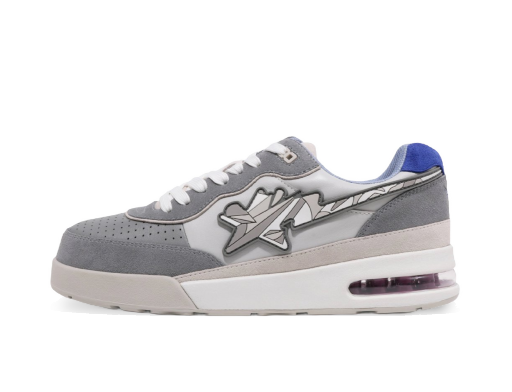 Sneakers og sko BAPE Louis De Guzman x Road Sta Grå | 1I73191910