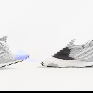 Sneakers og sko adidas Performance UltraBOOST 1.0 DNA Grå | GZ0448, 1
