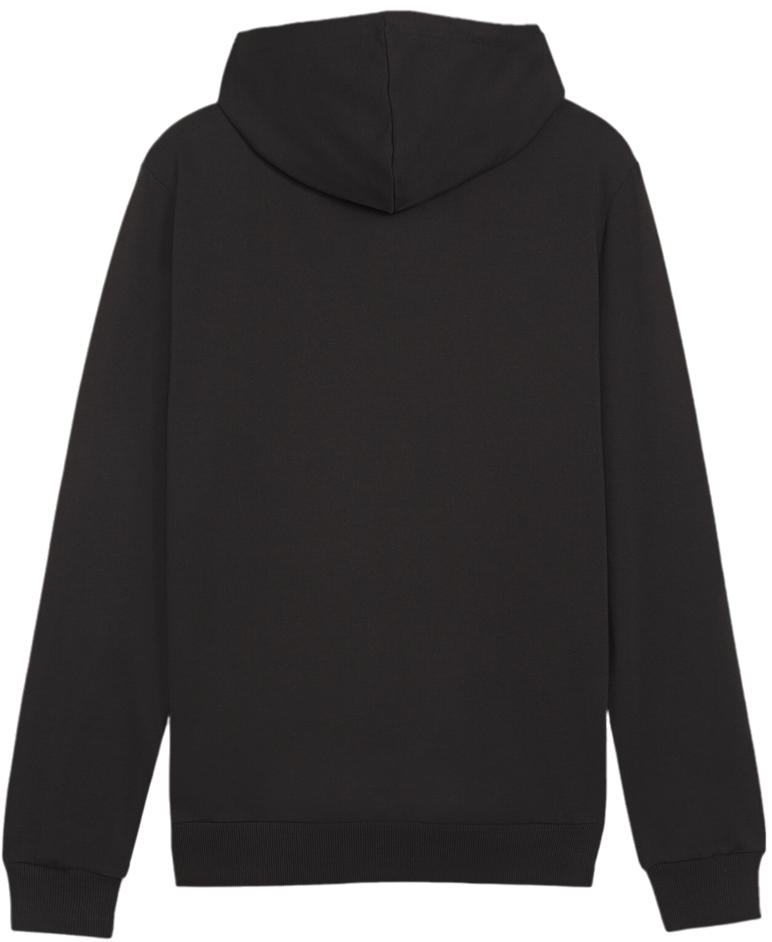 Sweatshirt Puma teamGOAL Casuals Hoody Sort | 658618-03, 1