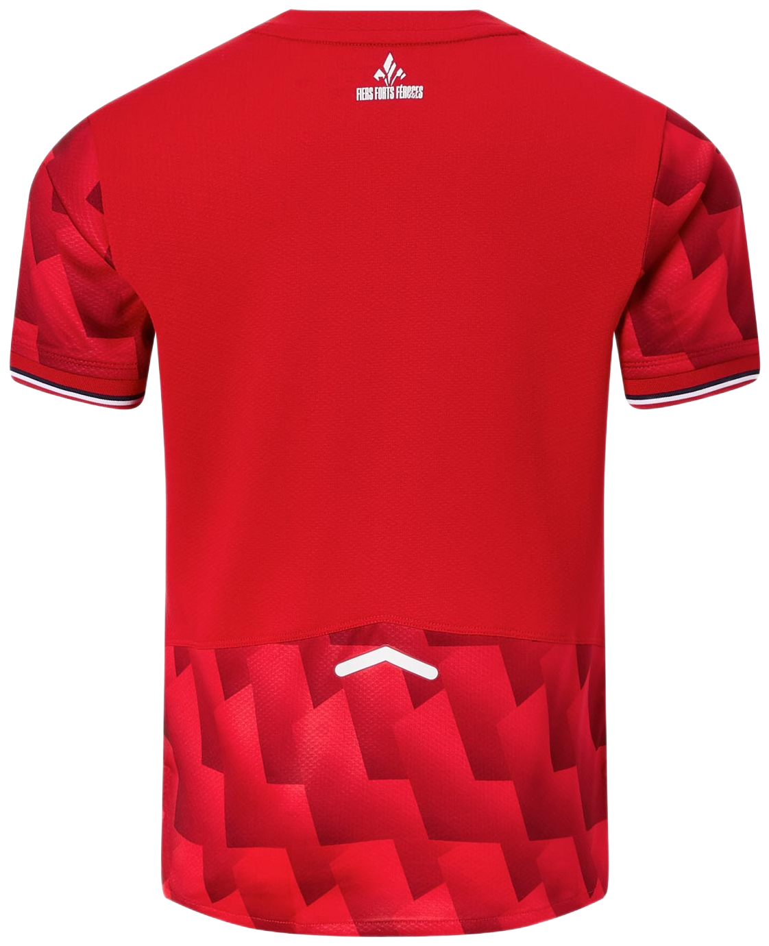 Jersey New Balance LOSC Lille Home Jersey 2025/26 Kids Rød | jt230454-hme, 1