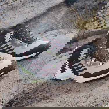 Sneakers og sko adidas Performance adidas TERREX Boty Terrex AX4 Mid GORE-TEX Hiking Sort | IE2577, 5