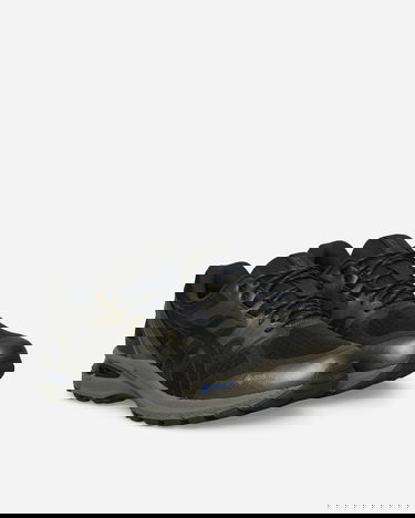 Sneakers og sko Asics GEL-Terrain GTX Sort | 1203A457-020, 2