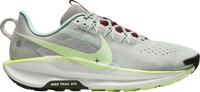 Pegasus Trail 5