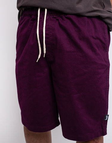 Shorts Stüssy Brushed Beach Short Lilla | 112282, 2