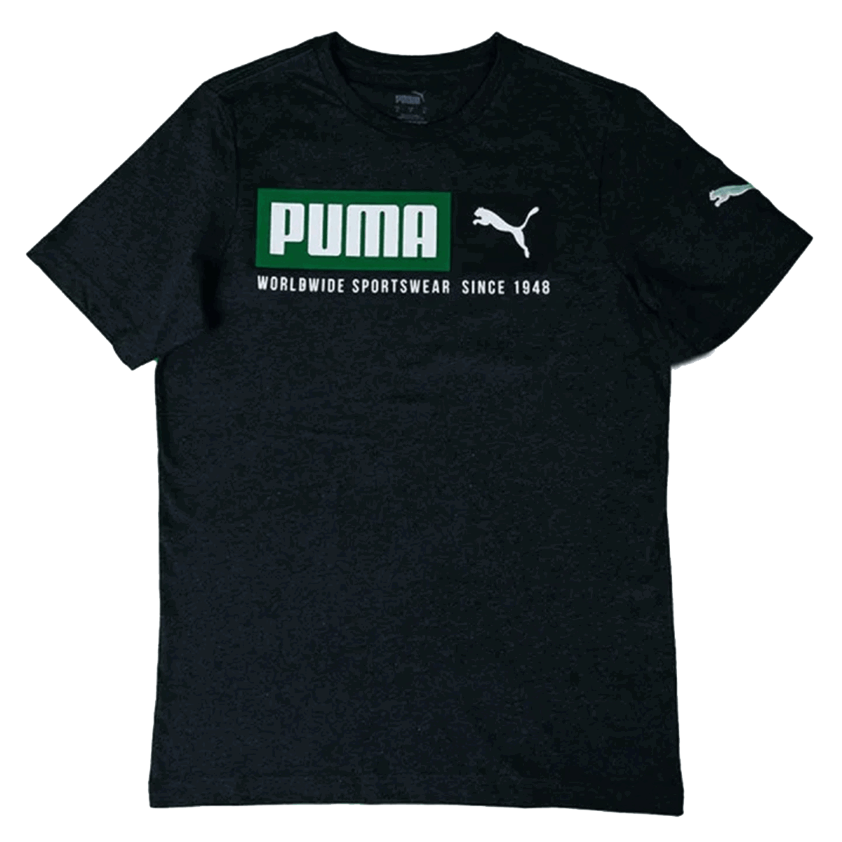 T-shirt Puma T-Shirt Blank Base Sort | 673144-01, 0