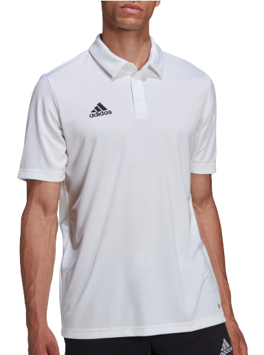 Polo skjorte adidas Originals Entrada 22 Polo Hvid | hc5067
