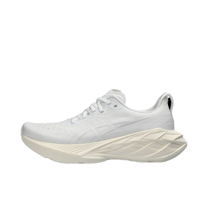 Løbe Asics NOVABLAST 4 Grå | 1011b693-102