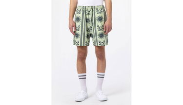 Shorts Dickies Kelso Short Flerfarvet | DK0A4XNDC34, 3