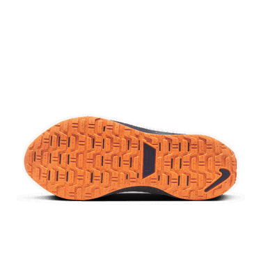 Sneakers og sko Nike InfinityRN 4 GORE-TEX Beige | FB2204-002, 4