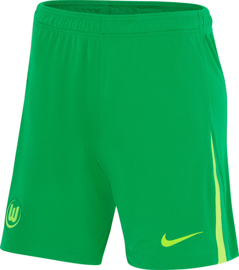 Shorts Nike Green Training Shorts 2024/25 Grøn | fz2821-310