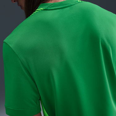 Jersey Nike England 2025/26 Stadium Replica Dri-FIT Goalkeeper Jersey Grøn | IF3953-310, 2