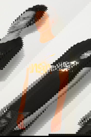 T-shirt Alpha Industries NASA Reflective T-Shirt With Print Sort | 178501.365, 4