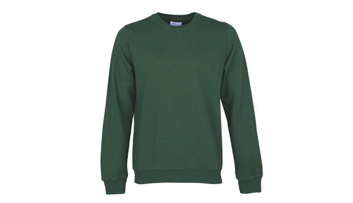Sweatshirt Colorful Standard Classic Organic Crew Grøn | CS1005-EG, 1