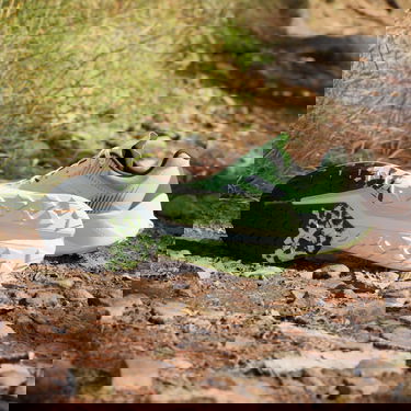 Sneakers og sko adidas Performance adidas TERREX Boty TERREX Soulstride Flow Trail Running Grøn | IG8026, 4