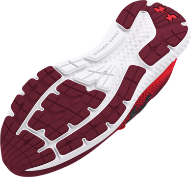 Sneakers og sko Under Armour UA Charged Rogue 4 Rød | 3026998-600, 2