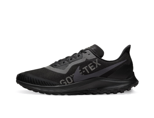 Løbe Nike Zoom Pegasus 36 TRAIL GTX Sort | bv7762-001