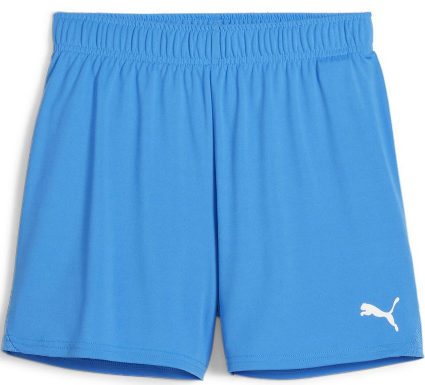 Shorts Puma teamGOAL Handball Shorts Blå | 706019-02