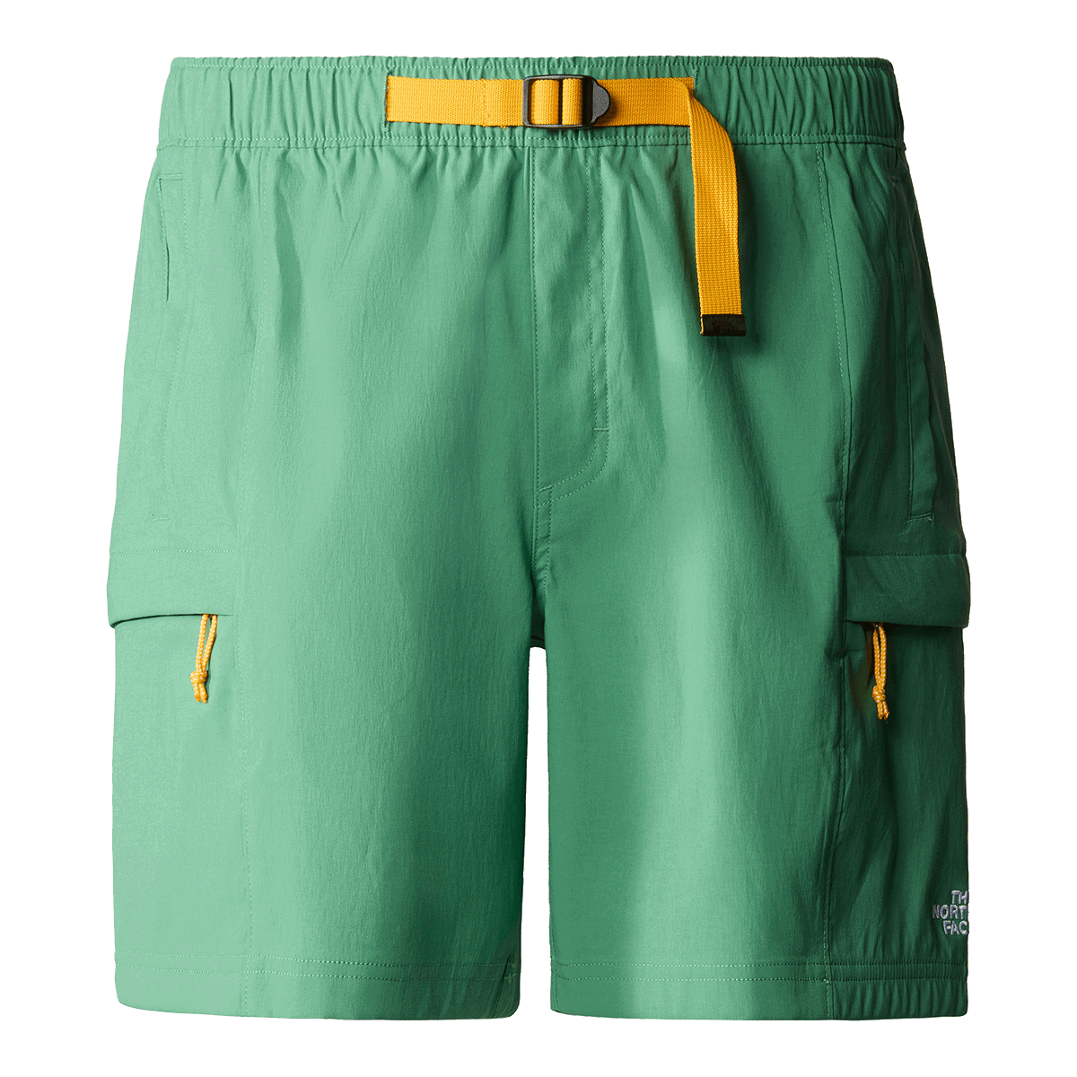 Shorts The North Face Class V Belted Cargo Short Grøn | NF0A55V8N111, 0