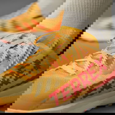 Sneakers og sko adidas Performance adidas TERREX Terrex Agravic Speed Trail Running Orange | IG8015, 2
