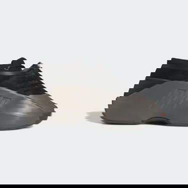 Sneakers og sko adidas Originals Crazy Iiinfinity Grå | IG6156, 0