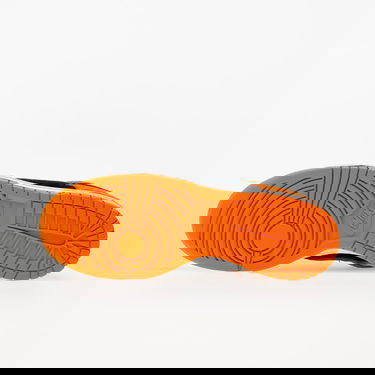 Sneakers og sko Nike Dunk Low SP Retro "Ceramic" 2020 Orange | DA1469-001, 2