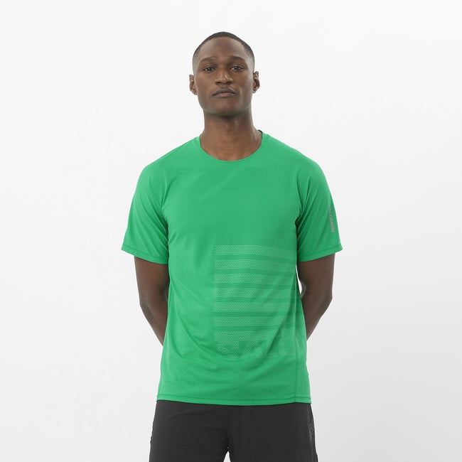 T-shirt Salomon Aero Graphic T-Shirt Grøn | LC2694700
