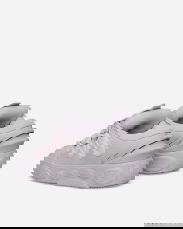Sneakers og sko Puma LaMelo Ball LaFrancé Wolf Grå | 313080-01, 4