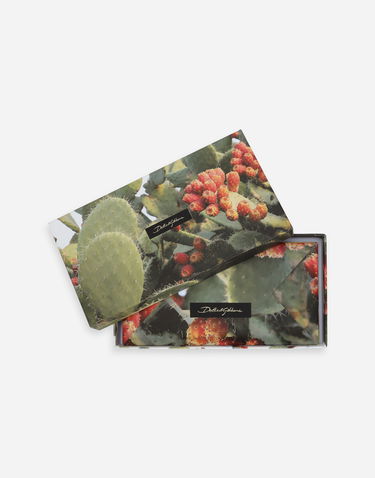 Tegnebog Dolce & Gabbana Cactus Print Greeting Cards Set With Envelopes Grøn | TCCS06TCAG1U0008, 1